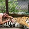Tinder Tiger Selfies Now Endangered Thanks To Albany Bill